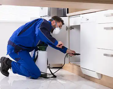 Pest Control Service