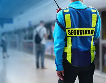 Security Service